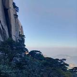 手机用户董问头像