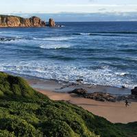 用户1955658801582头像