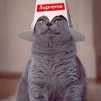 体重未知的Surtur头像