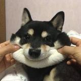 用户6806178261406头像