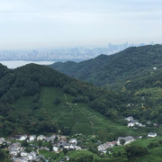 大漠落日的个人资料头像