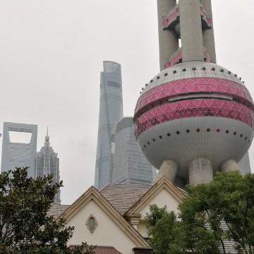 今天老马头像