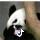 椿头像