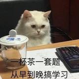 魏总大聪明头像