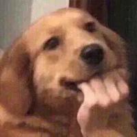 一个半通辽头像