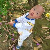 豌豆的婉婉头像