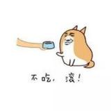 布川呐头像