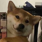 Vodka既困又拉的个人资料头像