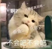 spool的个人资料头像
