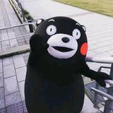 Dogdog哥头像