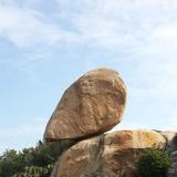 用户8686135570960头像