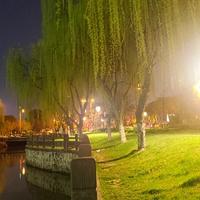 盗取你的美头像