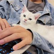Inlve的个人资料头像
