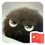 Zzz538的个人资料头像