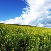日月星辰明的个人资料头像