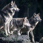 用户6967957110260的个人资料头像