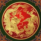 国窖1453头像