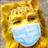 爆竹107239231头像