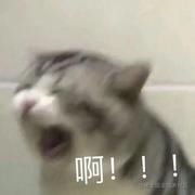 Calm的个人资料头像