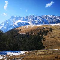 用户683566718898头像