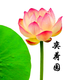 奕荷园头像