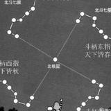 活泼花猫cl头像