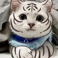 骚为头像