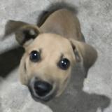 晓东的UNIT头像