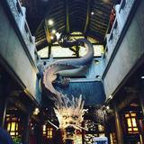 密斯吐头像