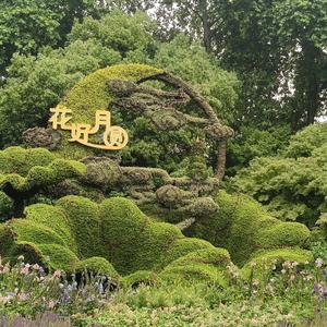 荣怀学校徐老师头像