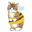 开心酱110095的个人资料头像