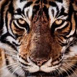 用户8842402678057头像