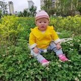 花千骨头像