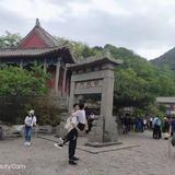 年轻有为的社会小青年83头像