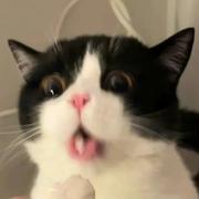 Yancy_Hill的个人资料头像