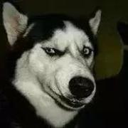 codeBob的个人资料头像