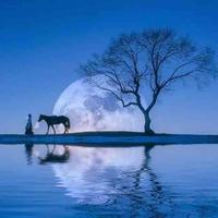 月湖树人马头像