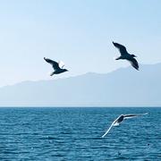 daabin的个人资料头像