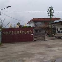 如来佛他爸头像