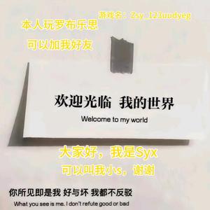 罗布乐思Syx头像