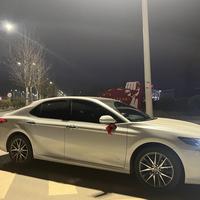 用户4293291497988头像