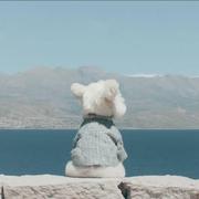 Jamie916的个人资料头像