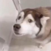 vitalQ的个人资料头像