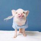 BB涵的个人资料头像