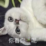 中午吃啥捏的个人资料头像