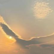 长河曦照的个人资料头像