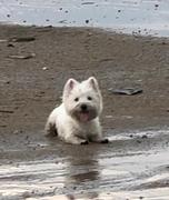 Lee40h的个人资料头像