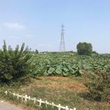 冬季来了396头像