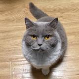 Rshuck头像