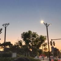 今天也要努力呀呀头像